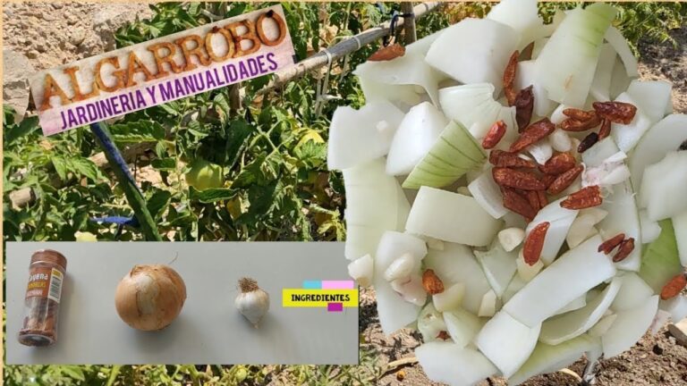 Fungicida casero para cebollas: Recetas efectivas y económicas