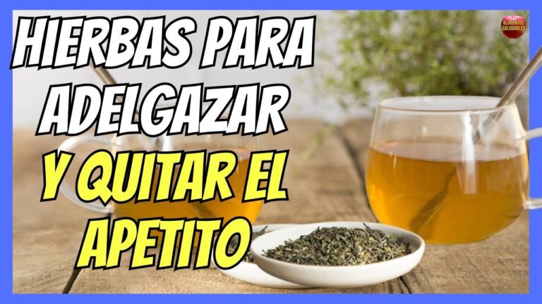Infusiones Supresoras del Apetito: Una Guía Completa
