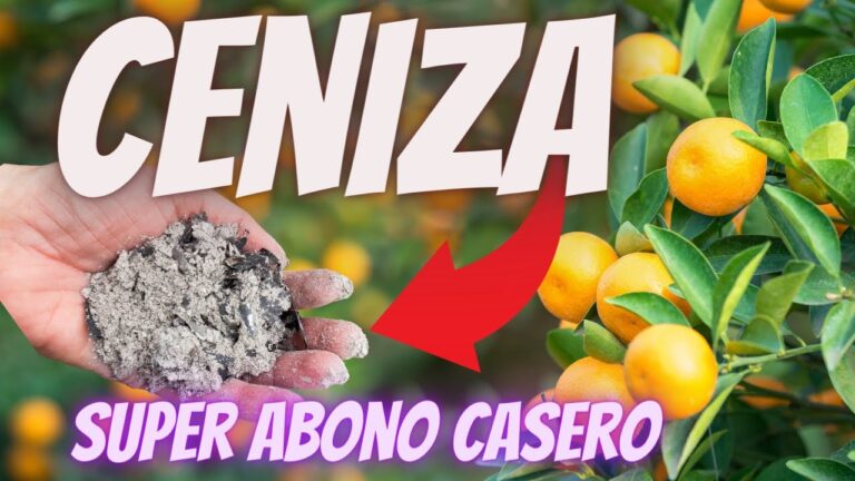 Beneficios de utilizar ceniza para árboles frutales