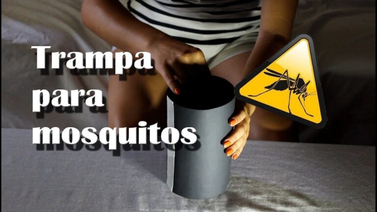 Estrategias Efectivas para Matar Mosquitos Caseros