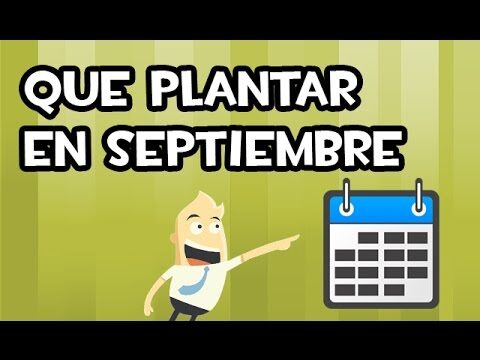 Qu&eacute; plantar en septiembre en Valencia