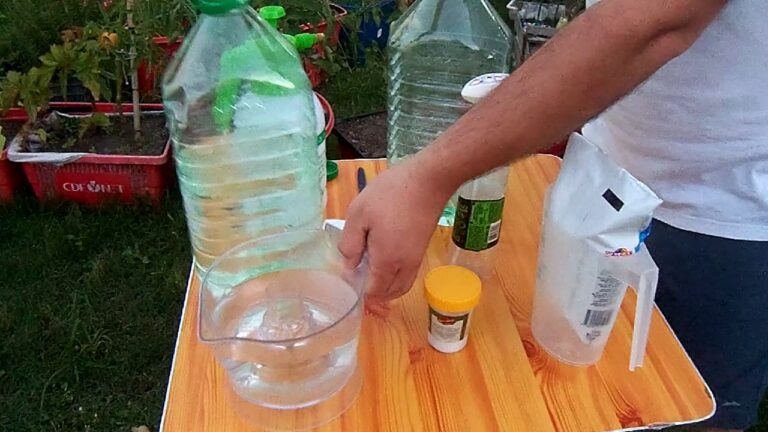 Insecticida casero para tomates y pimientos: recetas efectivas y econ&oacute;micas