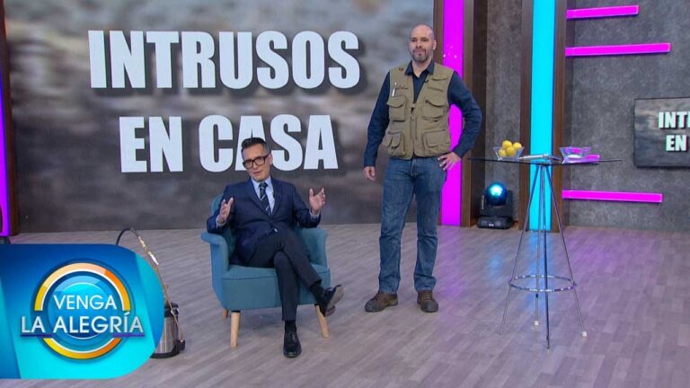 Insecticida casero para chinches: guía optimizada