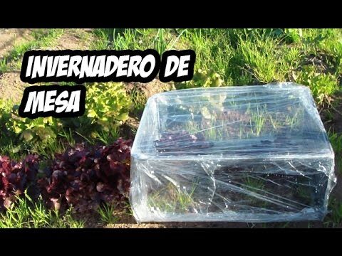 Guía para construir un invernadero casero para macetas