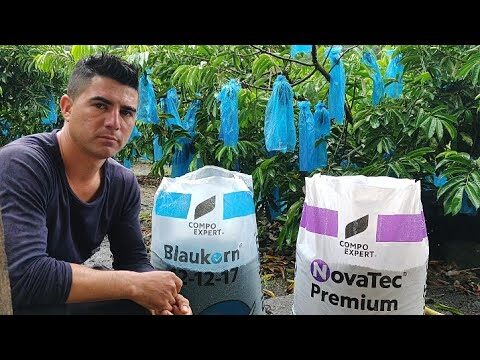 El mejor abono para árboles frutales