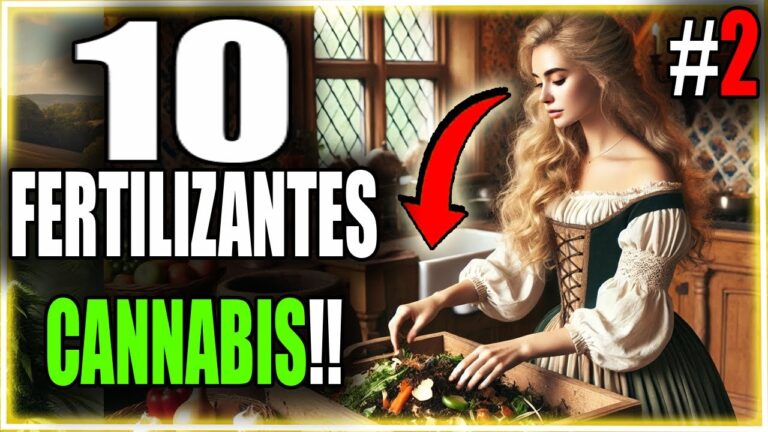 Abono casero para marihuanas: Gu&iacute;a de cultivo
