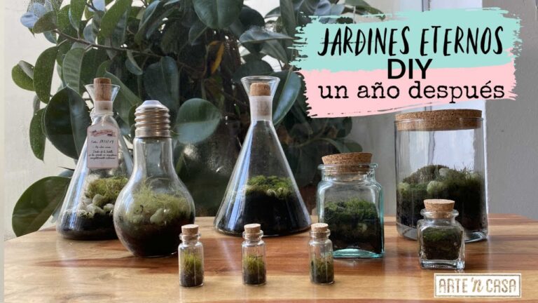 Creación de un Jardín en Botella Cerrada: Guía Optimizada