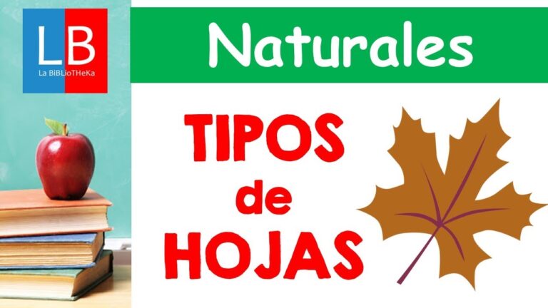 Tipos de hojas de plantas: una guía completa