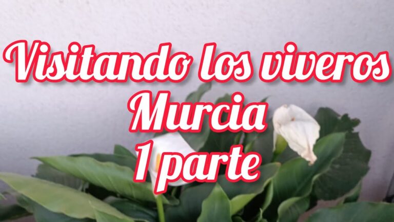 Planta de energ&iacute;a solar en Murcia: una fuente renovable de energ&iacute;a