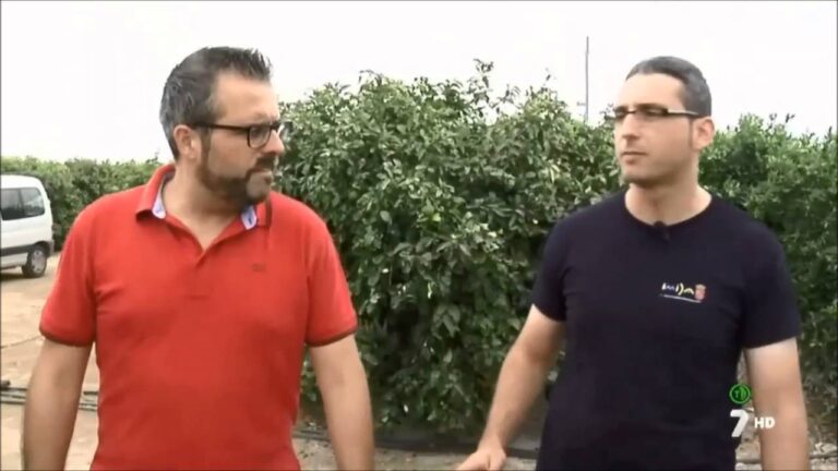 Consejos para el riego del limonero