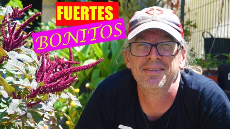 &Aacute;rboles de secano: crecimiento r&aacute;pido y beneficios