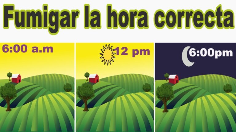 &iquest;Es mejor sulfatar por la ma&ntilde;ana o por la tarde?