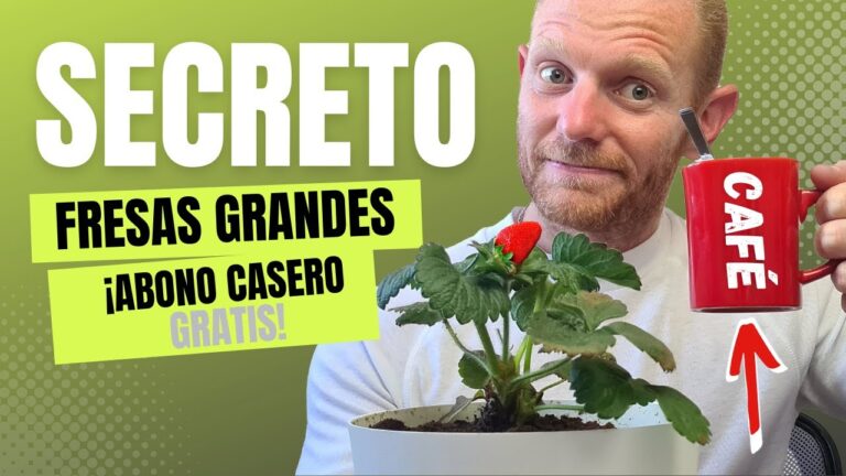 F&aacute;cil receta de abono casero para fresas