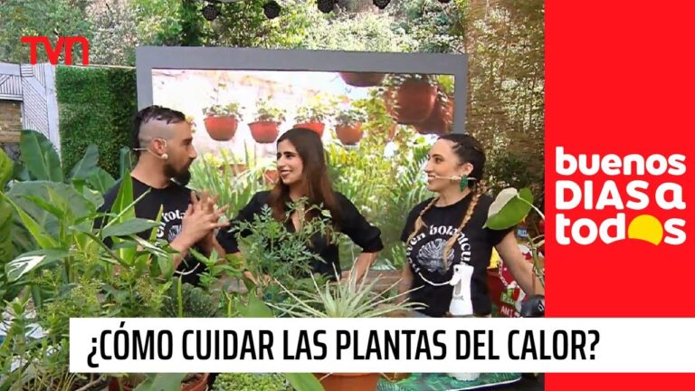 Despierta con Naturaleza: Buenos Días con Plantas