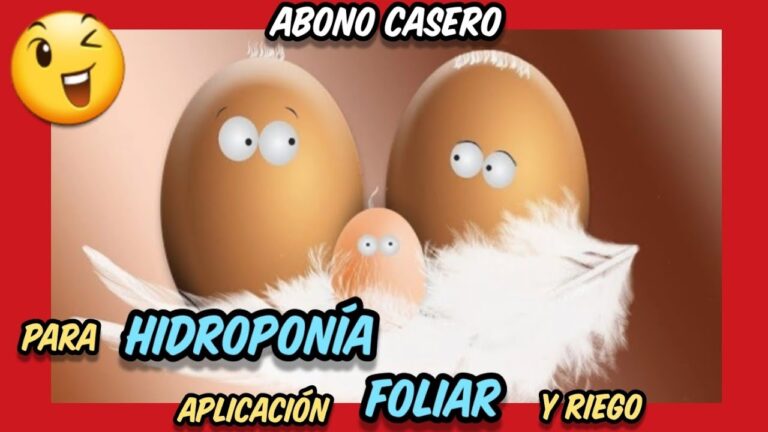 Fertilizante Hidropónico Casero: Guía Completa
