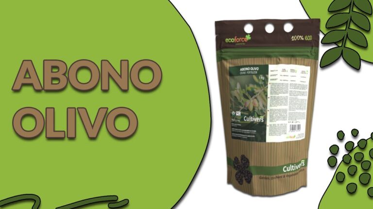 Abono casero para olivos: Guía completa