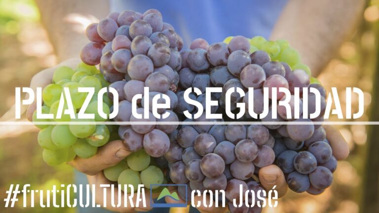Insecticida casero para proteger tus manzanos