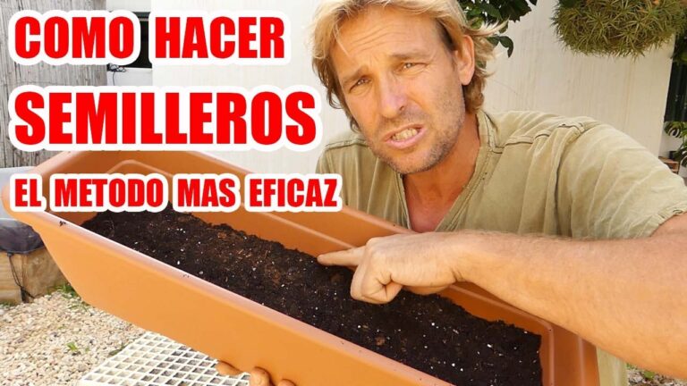 Semilleros de Dolores: C&oacute;mo Plantar de Forma &Oacute;ptima