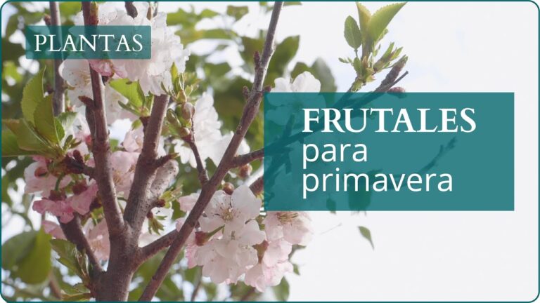 Mejores &Aacute;rboles Frutales para Plantar en Primavera