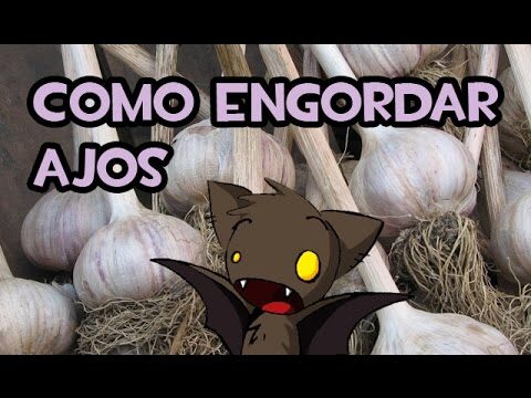 Consejos para Hacer Abono Casero para Ajos