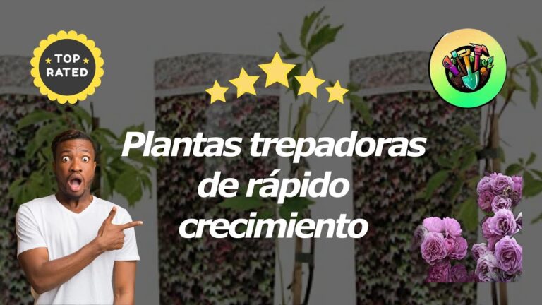 Plantas trepadoras de r&aacute;pido crecimiento
