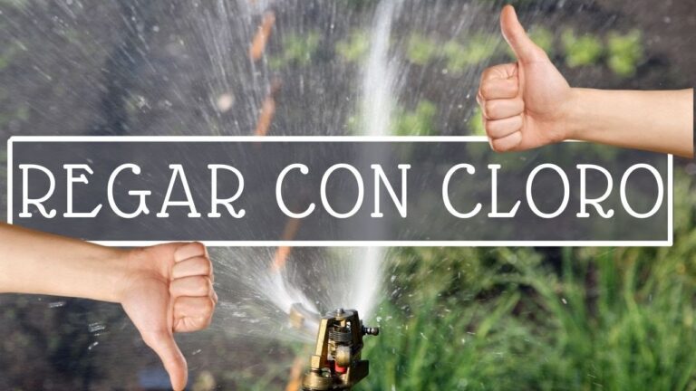Uso Efectivo de Agua con Cloro para el Riego