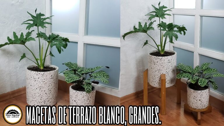 Macetas caseras grandes: ideas creativas para tu jardín
