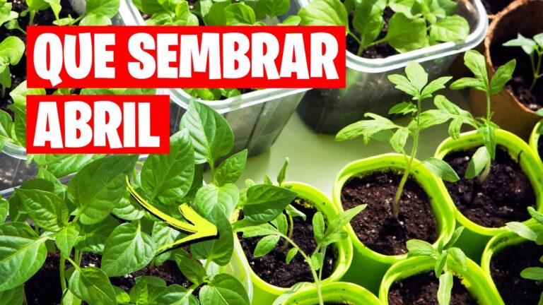 10 Cultivos Ideales para Sembrar en Abril