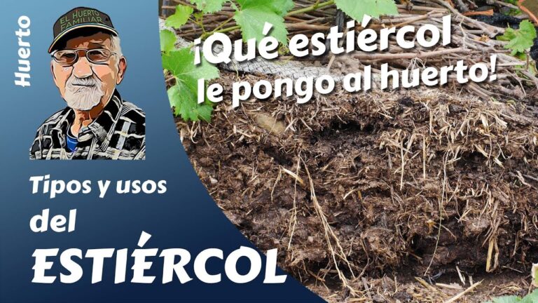 Usos del estiércol para mejorar tu huerto