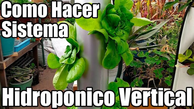Guía de hidroponía vertical casera: consejos y técnicas