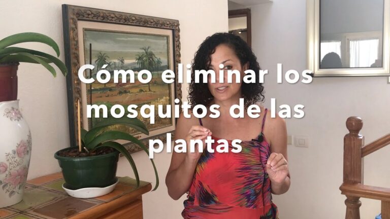 C&oacute;mo eliminar mosquitos en las plantas