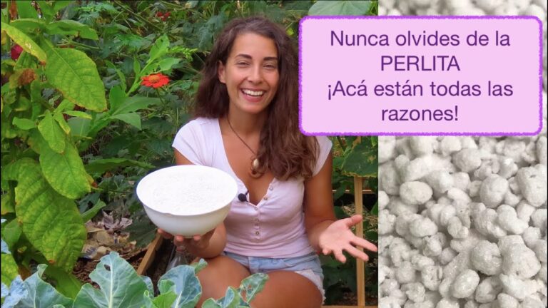 Todo lo que necesitas saber sobre el perlite: &iquest;Qu&eacute; es y c&oacute;mo se utiliza?