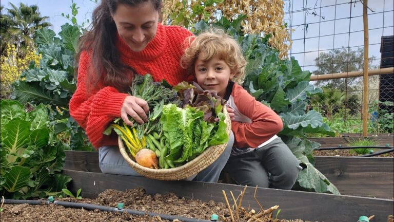 Mejores flores para plantar en septiembre