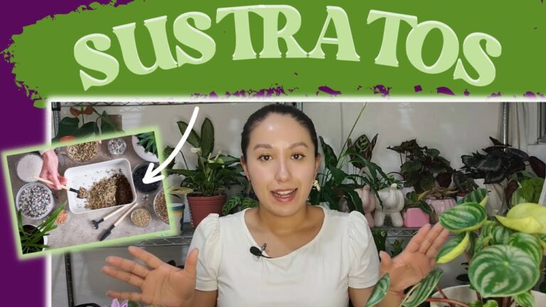 El Mejor Sustrato Mineral para Plantas: Guía Completa