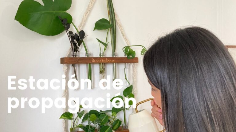 Estaci&oacute;n de propagaci&oacute;n de plantas: optimizando el crecimiento