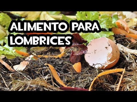 La lombriz que come: un aliado natural para el jard&iacute;n