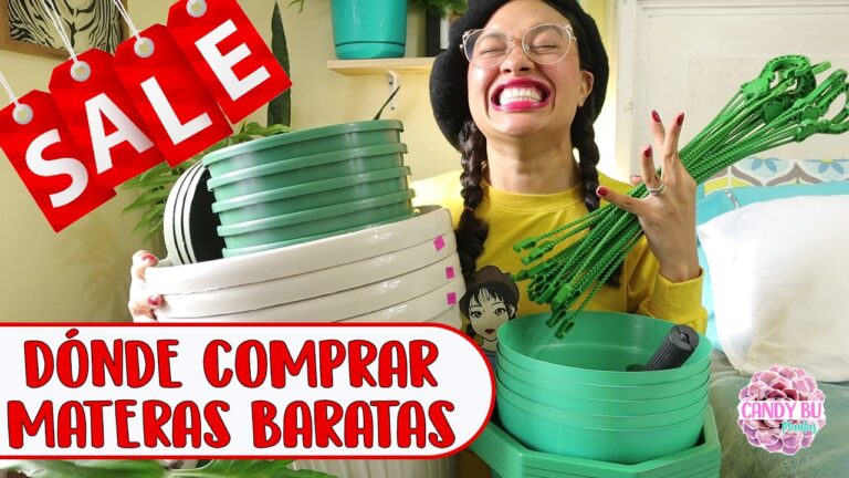 Macetas Peque&ntilde;as Baratas: La Soluci&oacute;n Econ&oacute;mica para Decorar tu Hogar