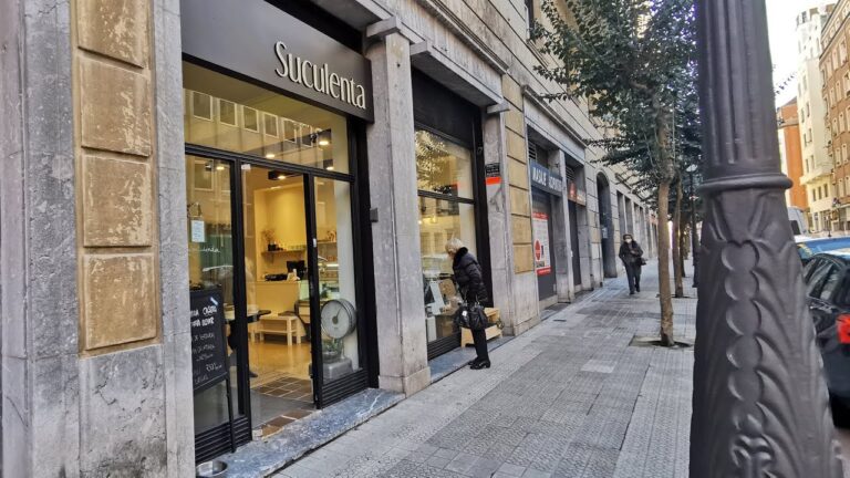 Guía Essentials para Cuidar Suculentas Bilbao