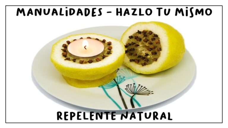 Efectividad del Limon y Clavo contra Mosquitos