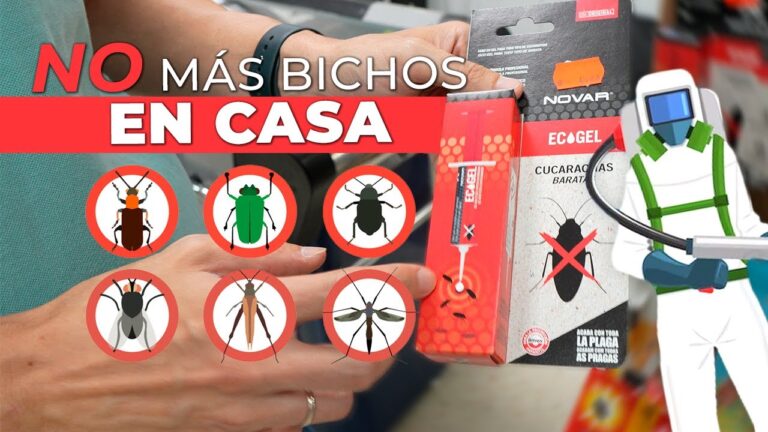 Control de bichos pequeños en el hogar: Guía práctica