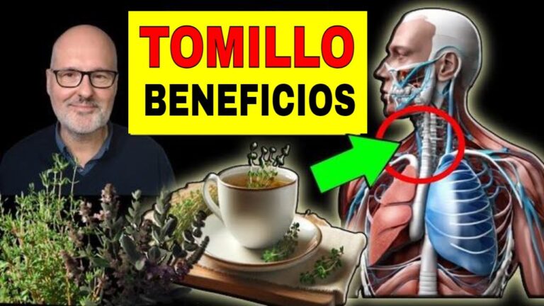 Características Esenciales del Tomillo