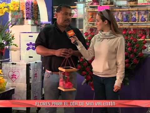 Dónde encontrar flores baratas cerca de mí