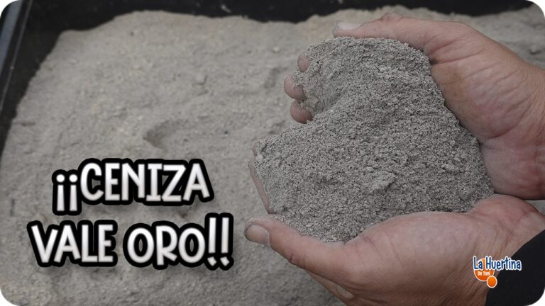 Beneficios de echar ceniza a las plantas