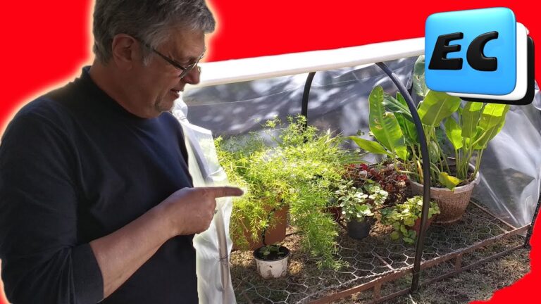 Invernadero casero para la terraza: Guía práctica