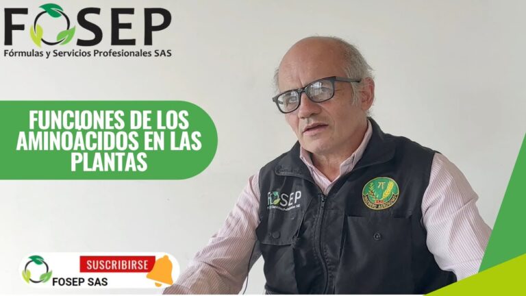 El exceso de aminoácidos en plantas: causas y soluciones