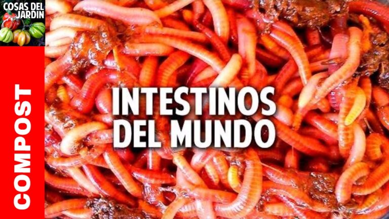 Beneficios de la Lombriz Canadiense en la Agricultura Sostenible