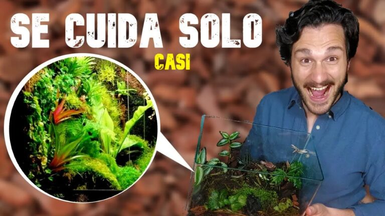 Terrario Autónomo: La Revolución Verde en Casa