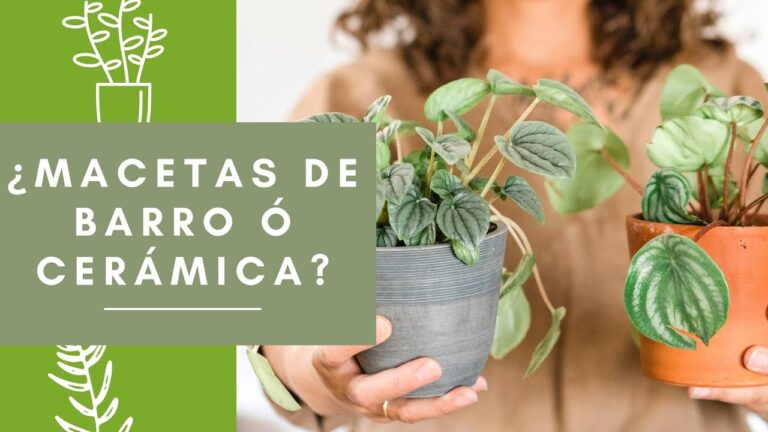Fabricantes de macetas de barro: Guía completa