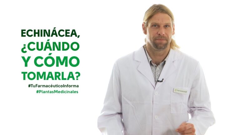Beneficios de Tomar Equinácea a Diario