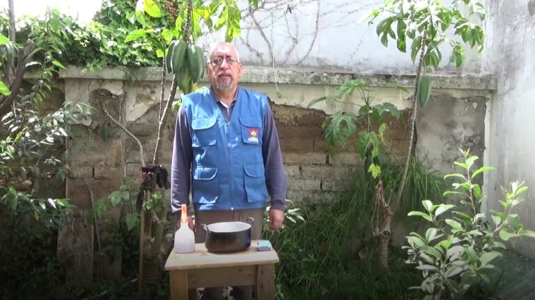 Beneficios del agua con jab&oacute;n para las plantas